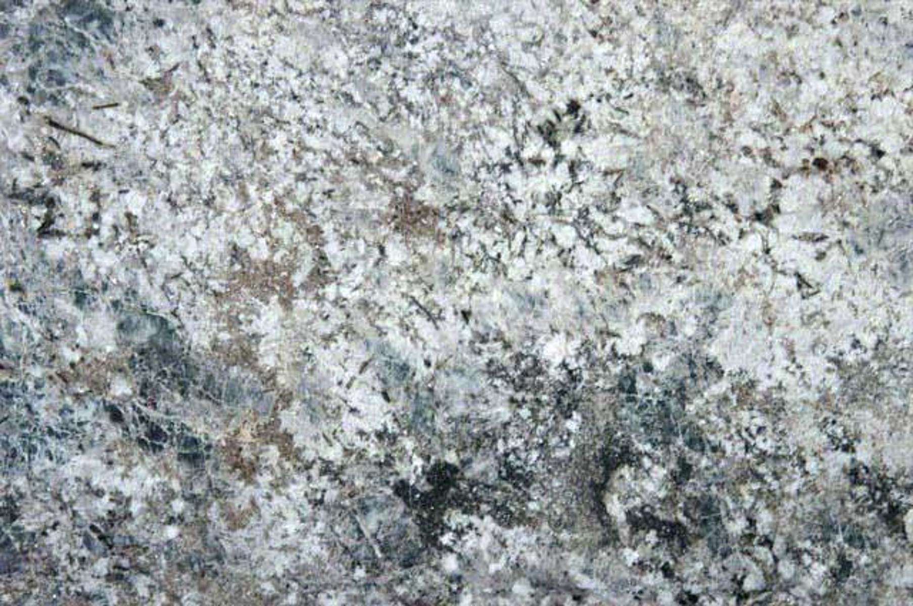 angola black