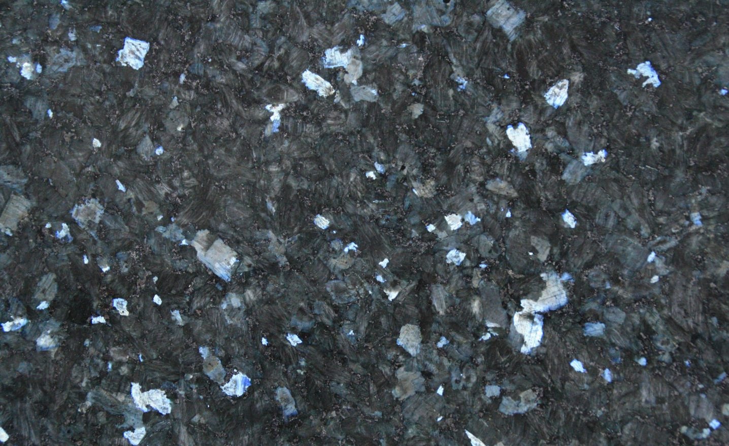 angola black