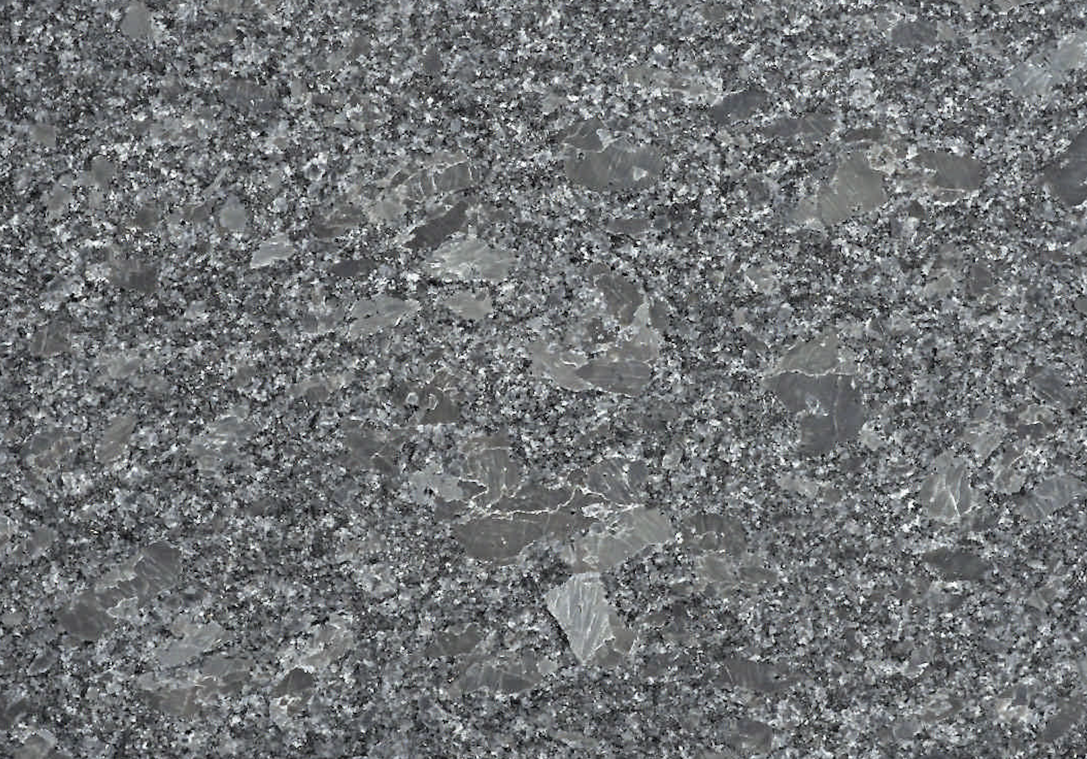 angola black