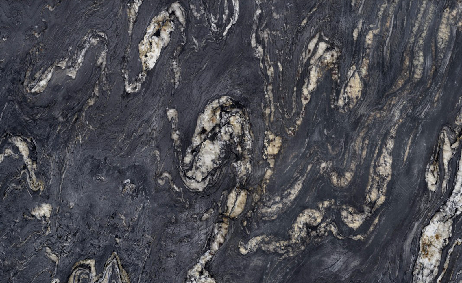 angola black