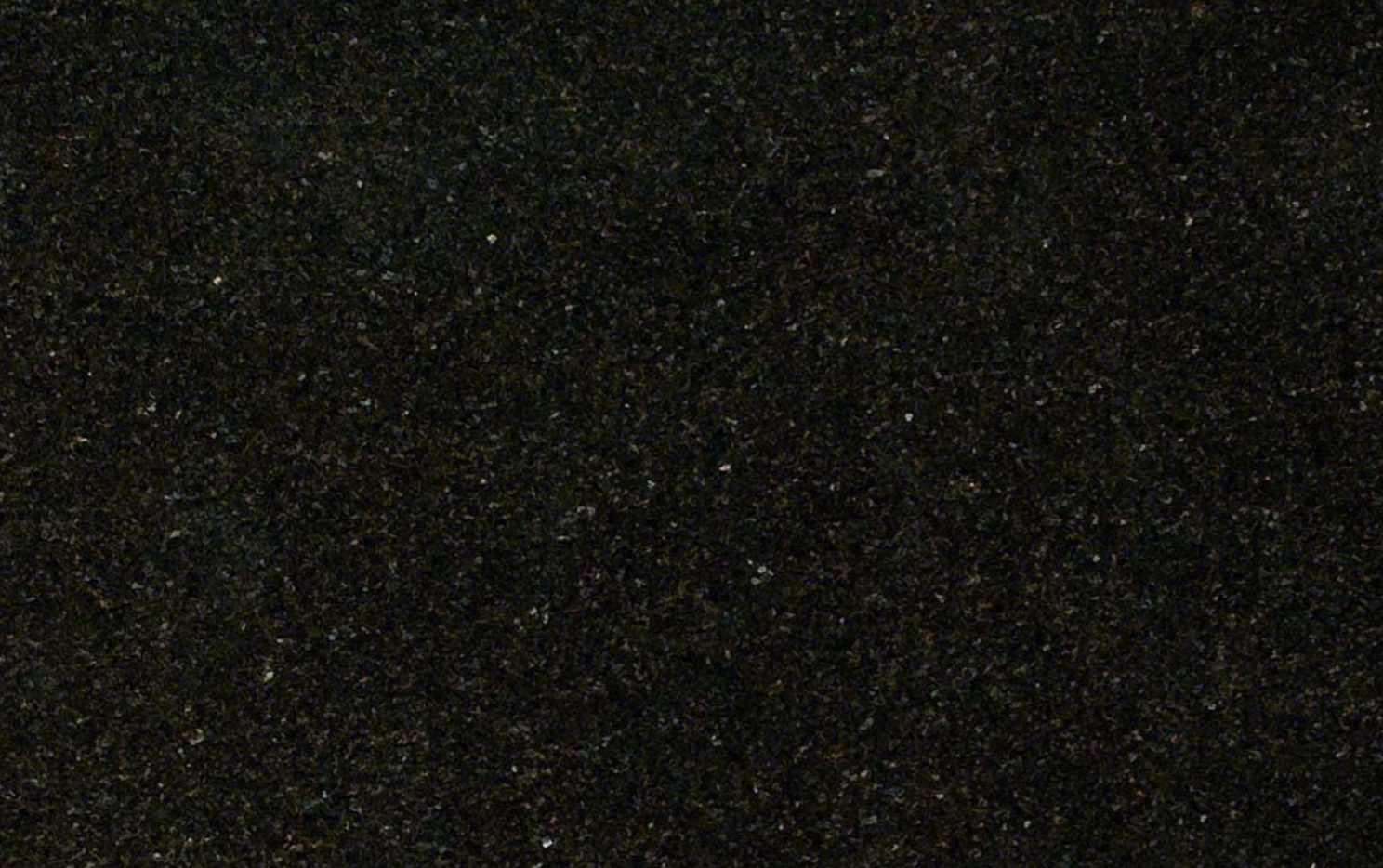 angola black