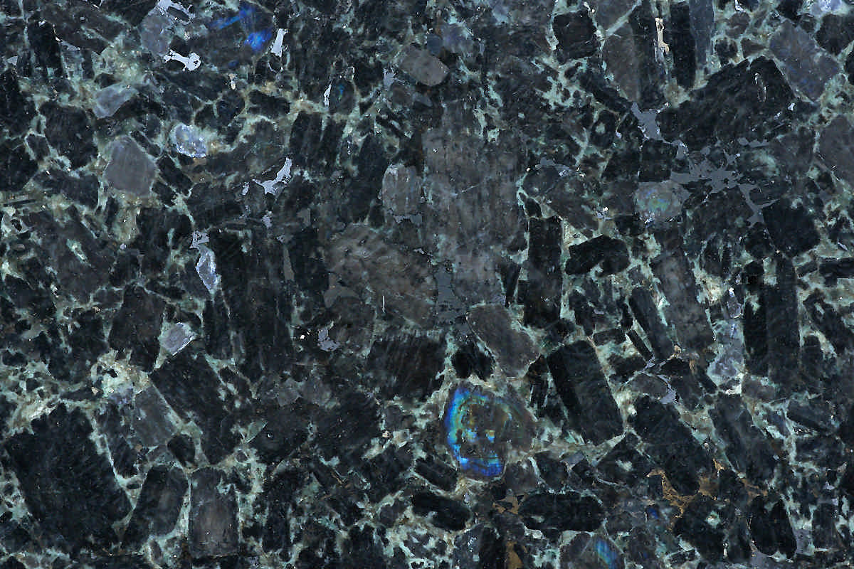 angola black